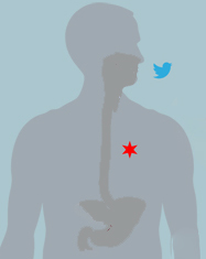 Stomach Issues? Take to Twitter &amp; Let the City of Chicago know
